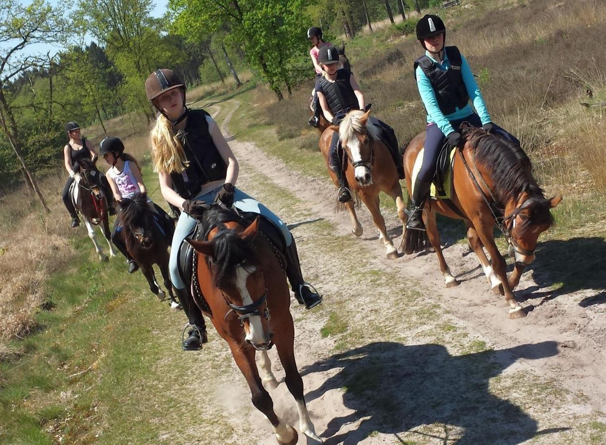 Horsetellerie Rheezerveen Hardenberg Eksteriør bilde
