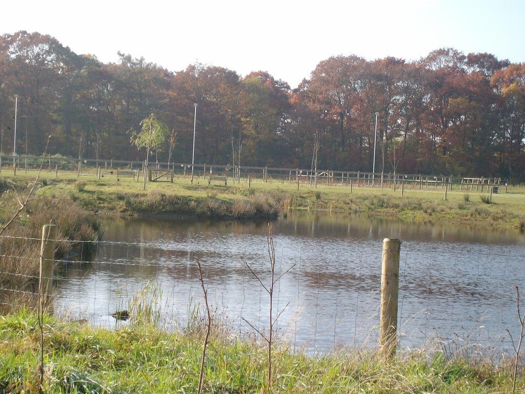 Horsetellerie Rheezerveen Hardenberg Eksteriør bilde