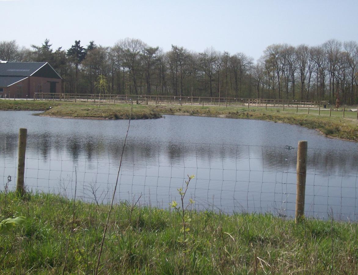 Horsetellerie Rheezerveen Hardenberg Eksteriør bilde